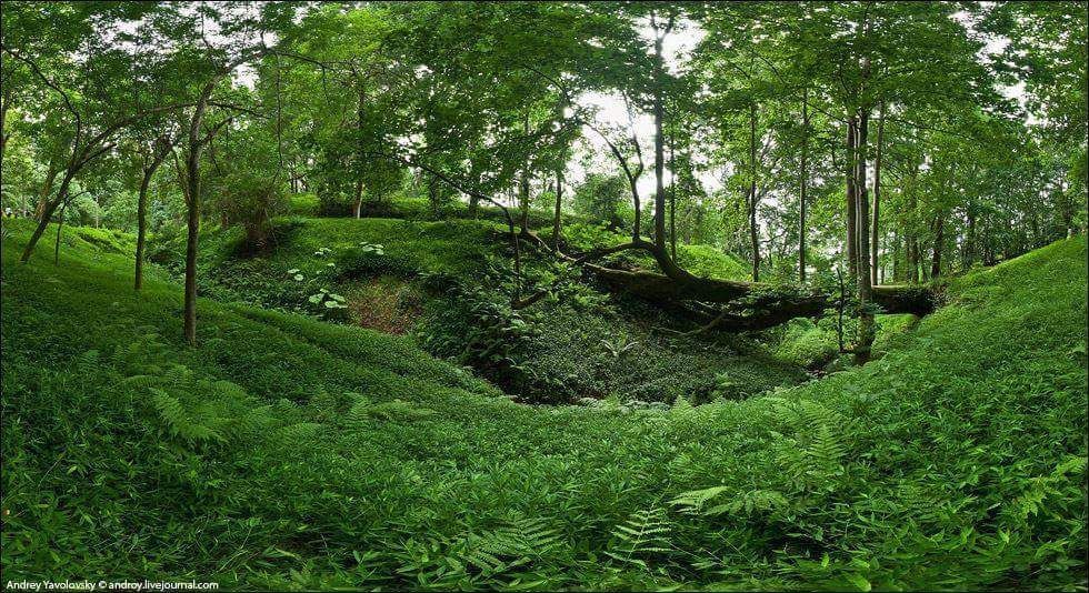 ორ დღიანი ტური აჭარაში ...ბათუმი-მწვანე კონცხი-ბულვარი-დელფინარიუმი-გონიოს ციხე-ბოტანიკური ბაღი....