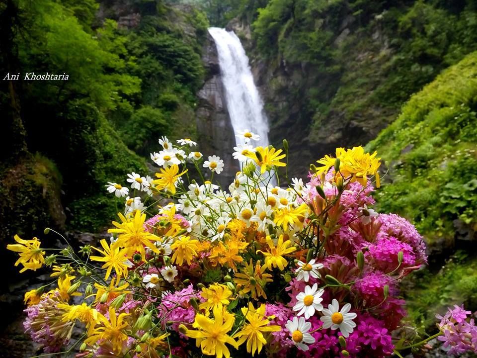 ნინოსხევის (გურგენიანის) ჩანჩქერი - ლაგოდეხის ნაკრძალი