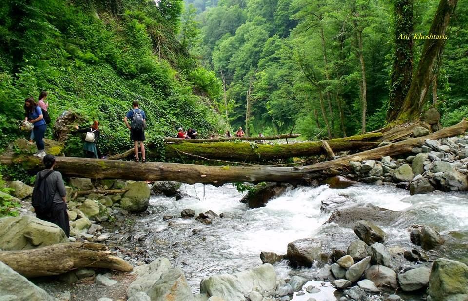 ნინოსხევის (გურგენიანის) ჩანჩქერი - ლაგოდეხის ნაკრძალი