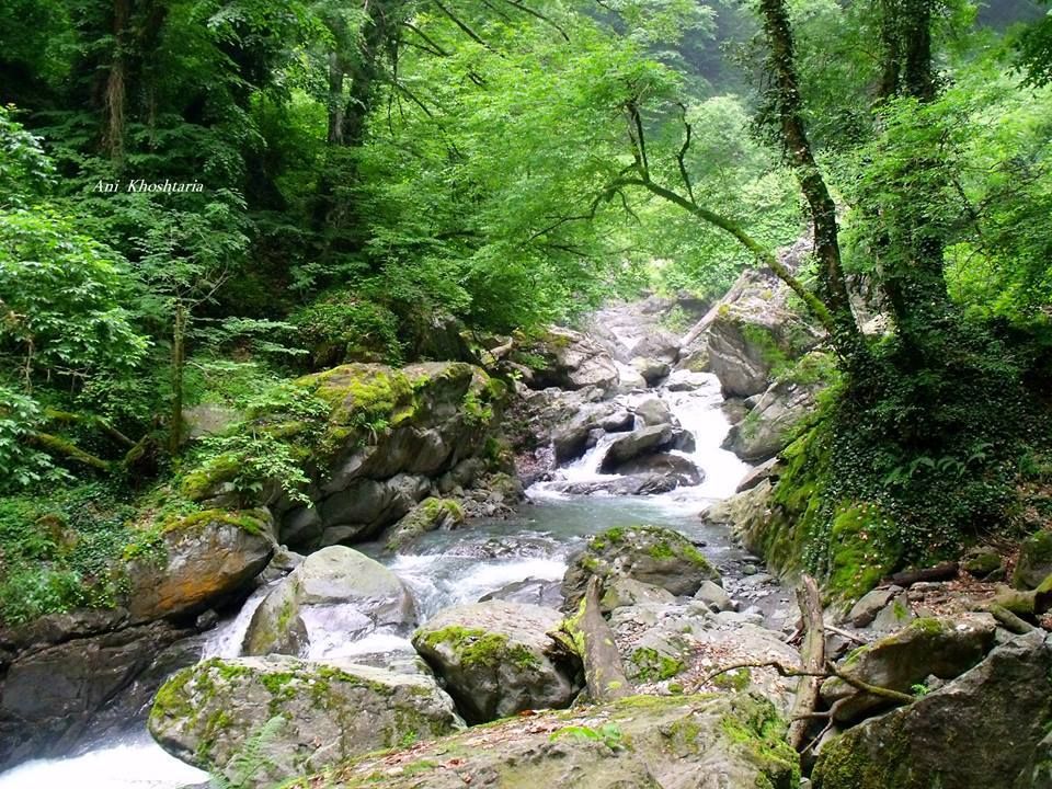 ნინოსხევის (გურგენიანის) ჩანჩქერი - ლაგოდეხის ნაკრძალი