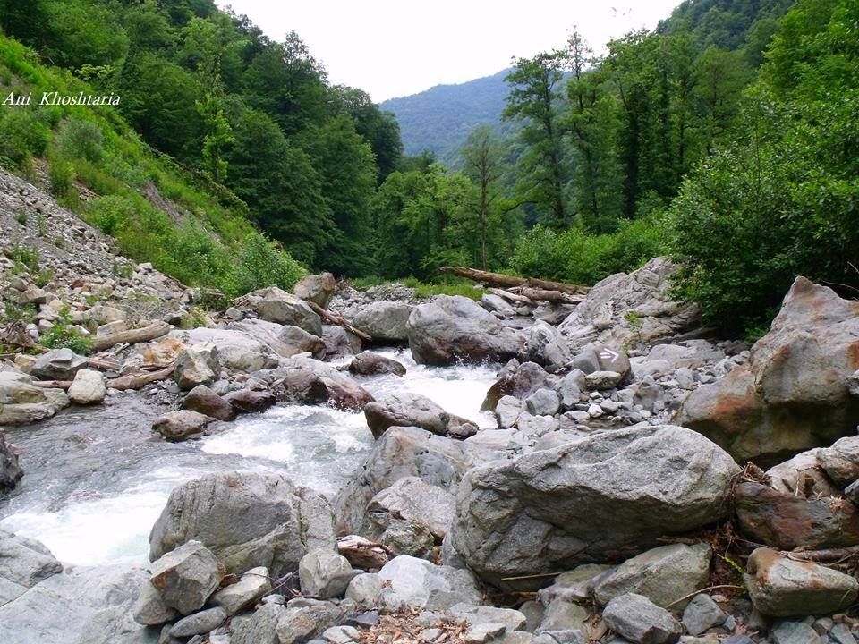 ნინოსხევის (გურგენიანის) ჩანჩქერი - ლაგოდეხის ნაკრძალი