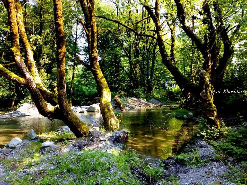 ნინოსხევის (გურგენიანის) ჩანჩქერი - ლაგოდეხის ნაკრძალი
