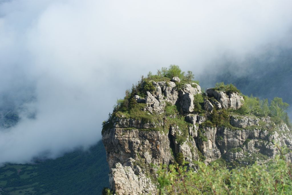 ხვამლის მთა - აგვისტო ( არ გამოტოვო)