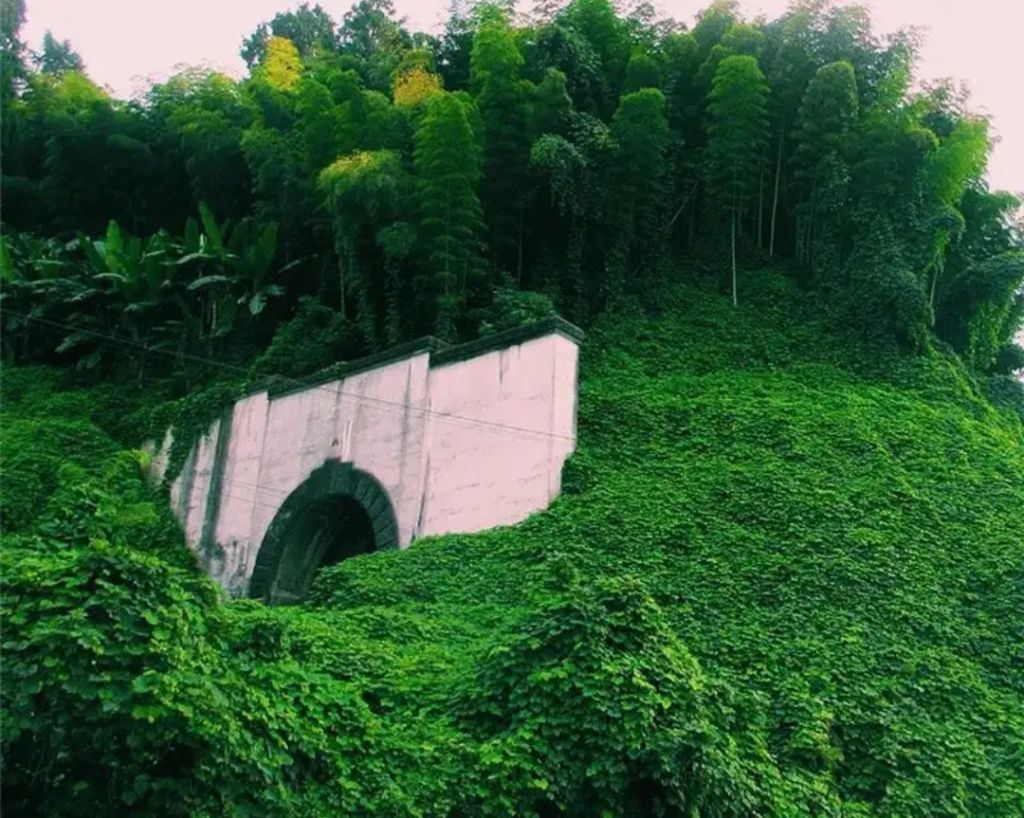 ტური აჭარაში...ბათუმი-ახალი ბულვარი-დელფინარიუმი-ბოტანიკური ბაღი-გონიოს ციხე ...