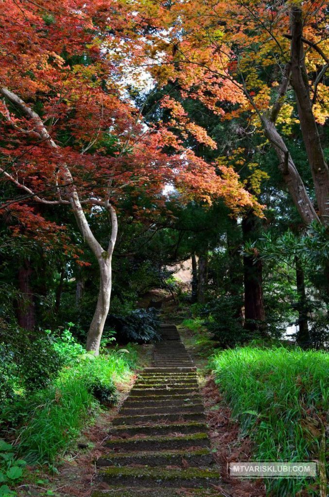 ტური აჭარაში...ბათუმი-ახალი ბულვარი-დელფინარიუმი-ბოტანიკური ბაღი-გონიოს ციხე ...