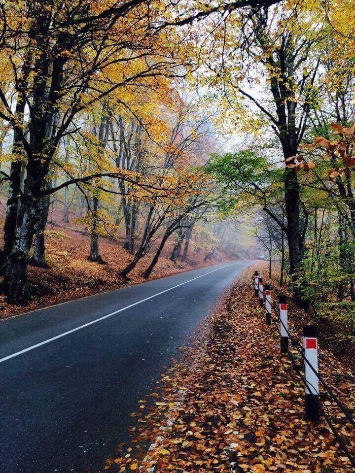 ერთდღიანი დაუვიწყარი ტური კახეთში.. .... სიღნაღი-ბოდბე-ყვარელი-წინანდალი-ძველი და ახალი შუამთის მონასტერი