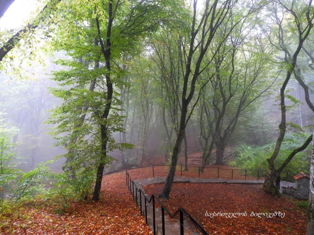 ერთდღიანი დაუვიწყარი ტური კახეთში.. .... სიღნაღი-ბოდბე-ყვარელი-წინანდალი-ძველი და ახალი შუამთის მონასტერი