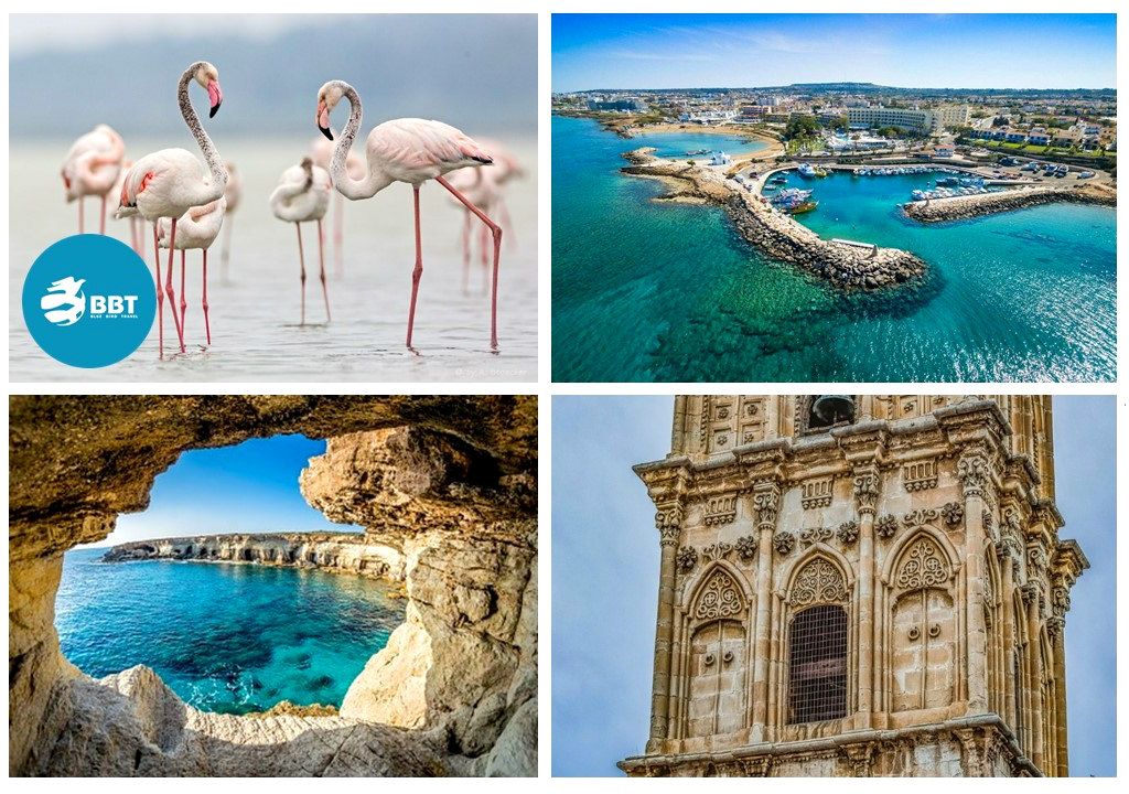 ზღვის, ხელოვნებისა და ისტორიის შესანიშნავი შერწყმა!