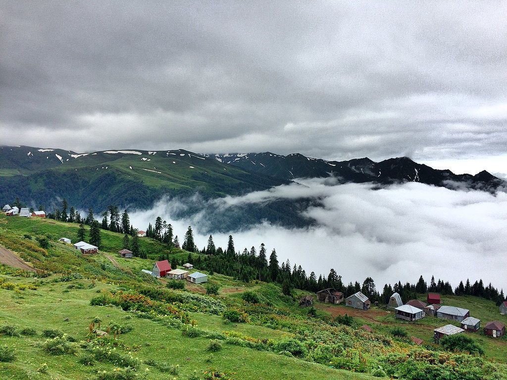 ორდღიანი ტური ღრუბლებს ზემოთ: გომის მთა, XIIს. შემოქმედის სამონასტრო კომპლექსი და შეკვეთილის დენდროლოგიური პარკი. - აგვისტოს!!!