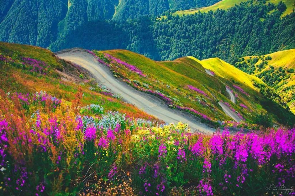 -- აგვისტოს  დღიანი ტური თუშეთში . ტელ:    /    /