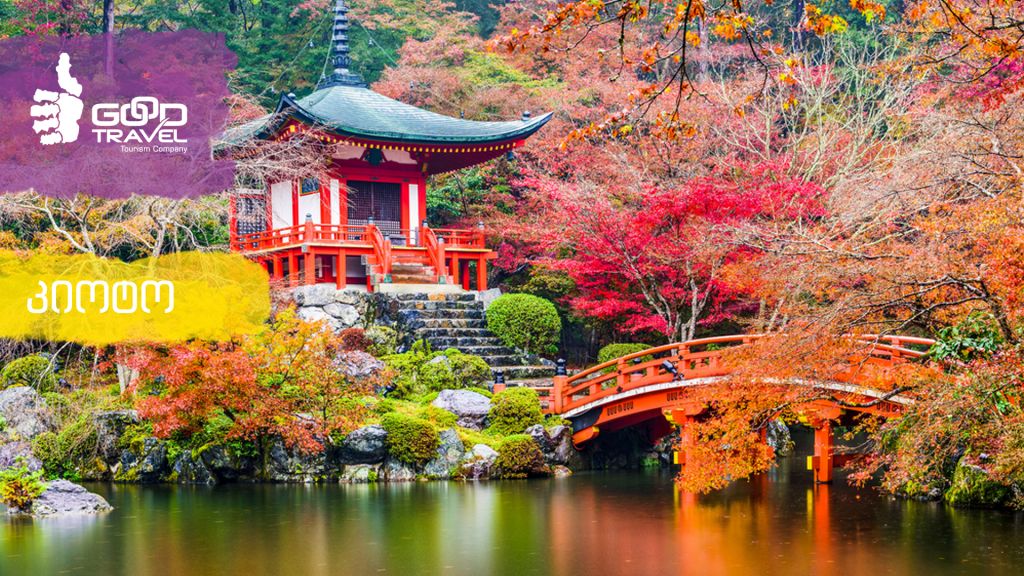 იაპონიის ჯგუფური ტური. ტოკიო - კიოტო