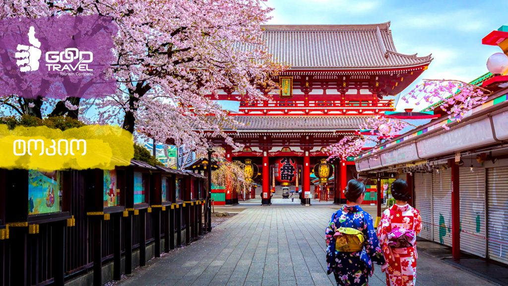 იაპონიის ჯგუფური ტური. ტოკიო - კიოტო