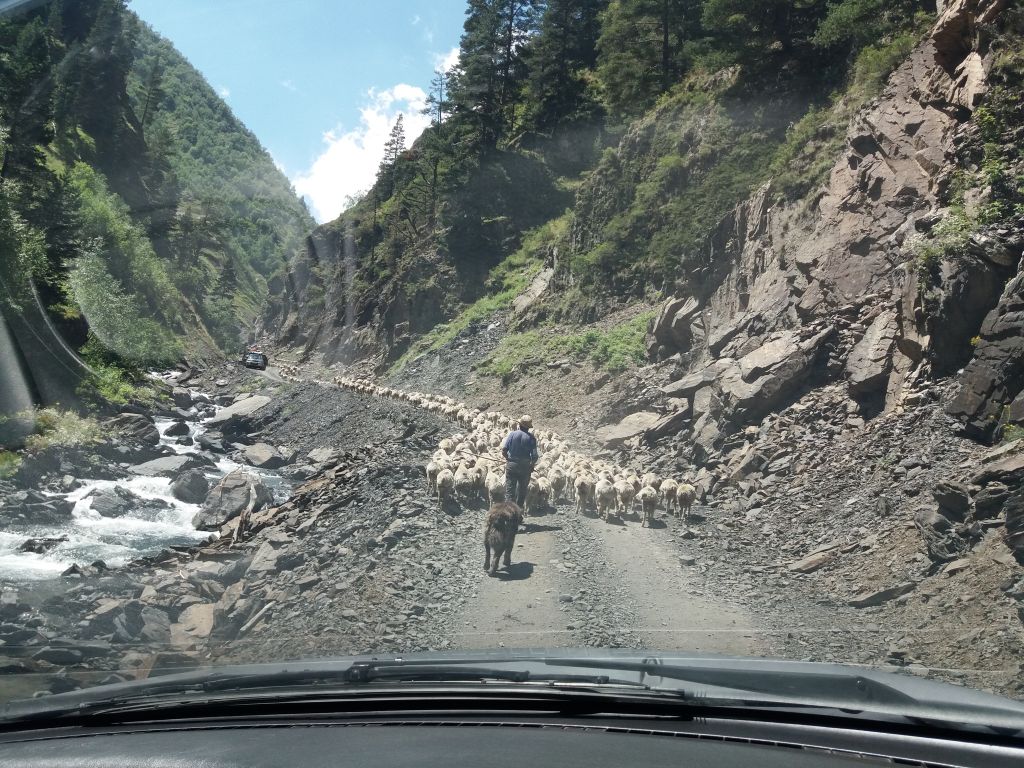 სამდღიანი ჯიპ-ტური თუშეთში! გაატარე ზაფხულის ცხელი დღეები ულამაზეს მთა-თუშეთში