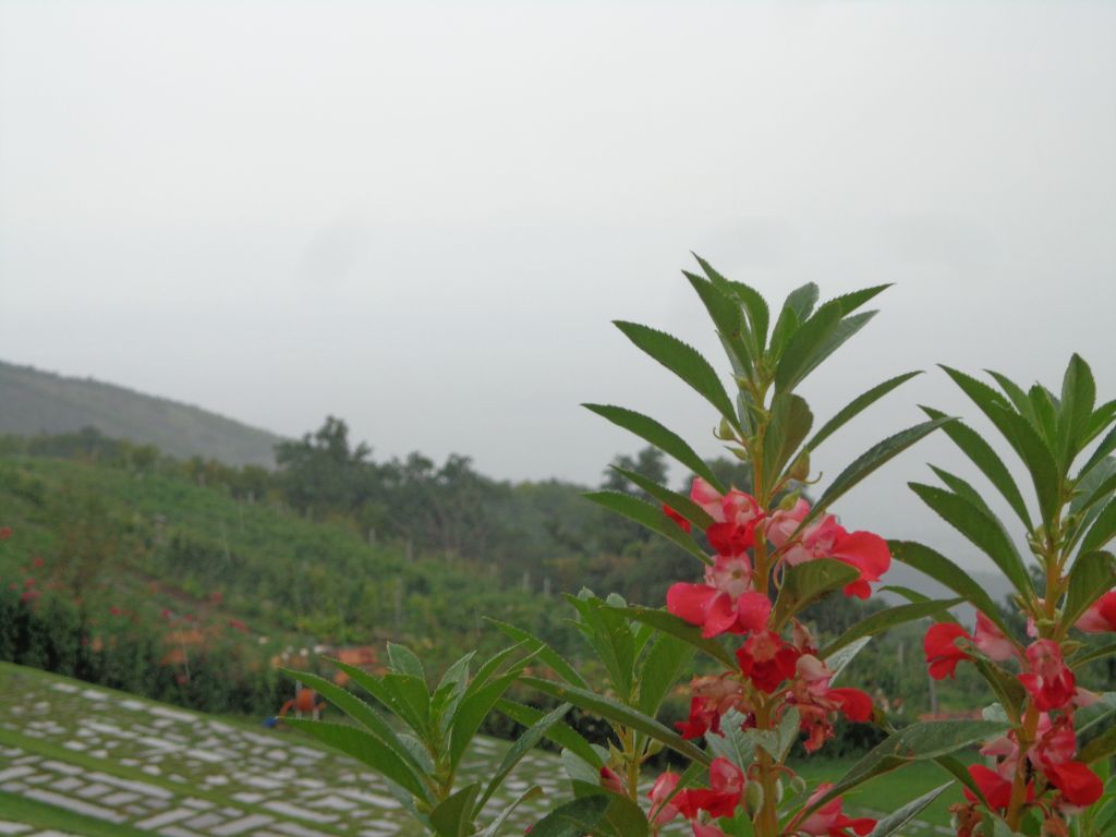 წამოდით ვხატოთ კახეთში - ფიროსმანის ტური