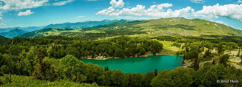 ტური მაღალმთიან აჭარაში