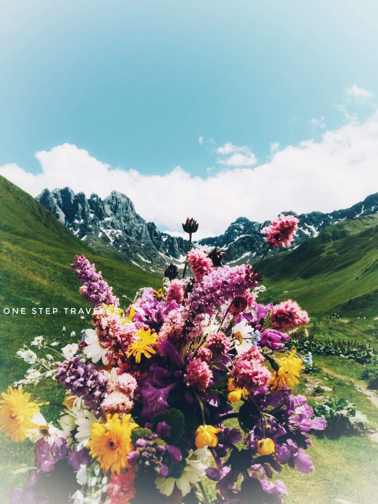 ჯუთა ჯიუხები -