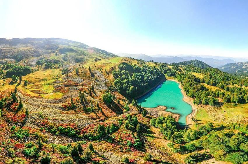 ეკოტური