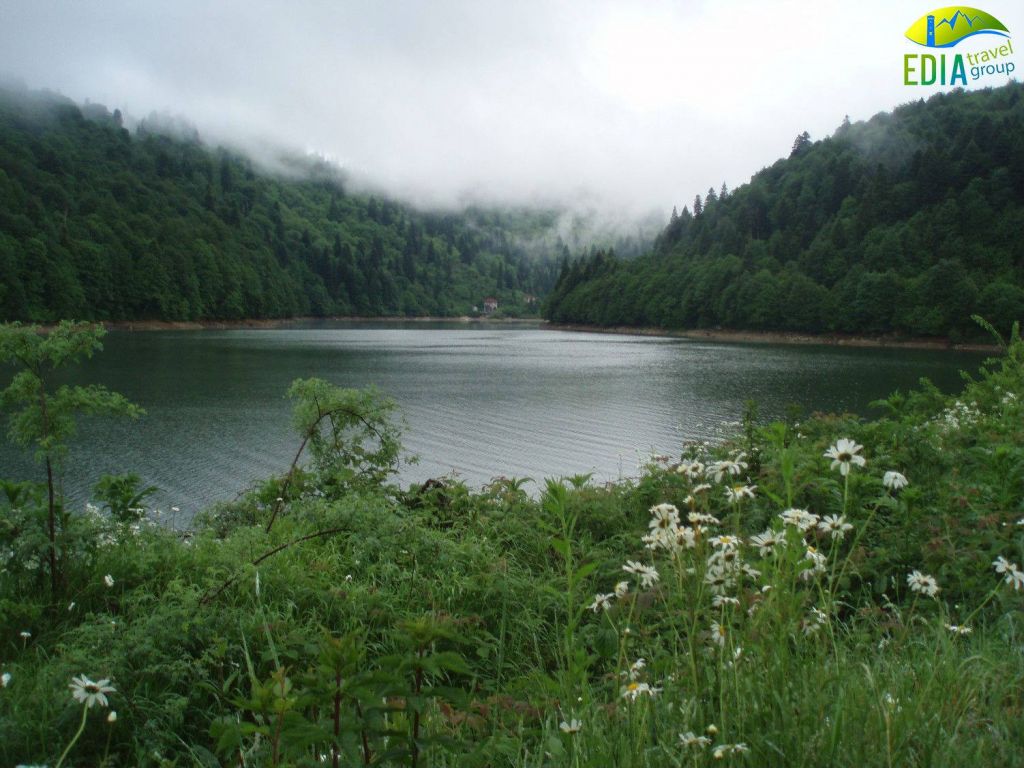 #ესარუნდაგამოტოვოთ! ,, გვისტოს