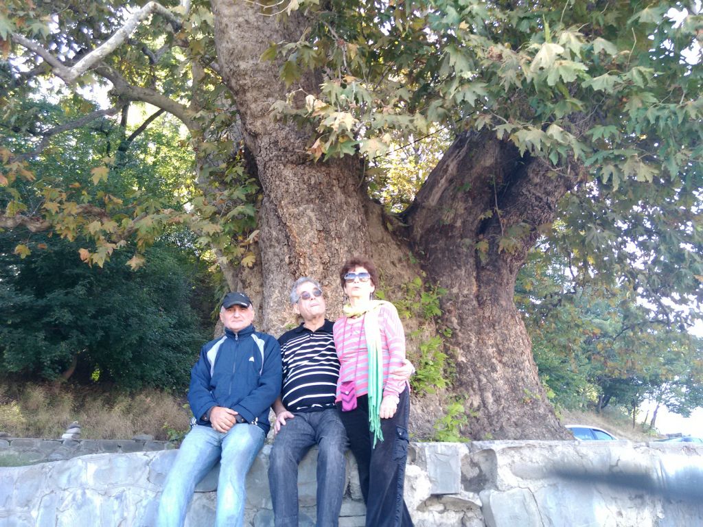 ერთდღიანი ღვინის ტური კახეთში : თელავი, წინანდალი, გრემი, ნეკრესი, ილიას ტბა, ღვინის გვირაბი, კორპორაცია ქინძმარაული . . .