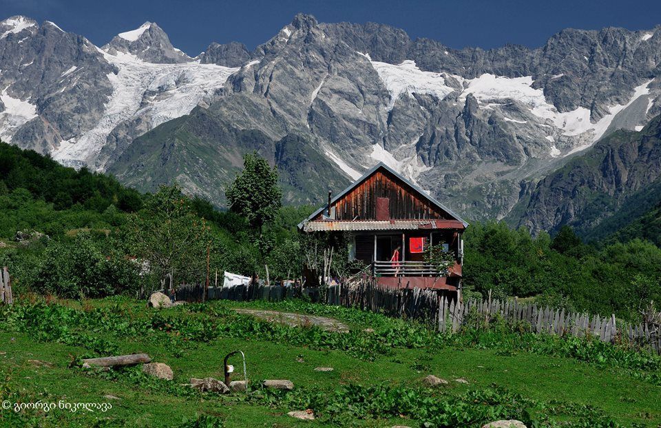 ეკო ტური