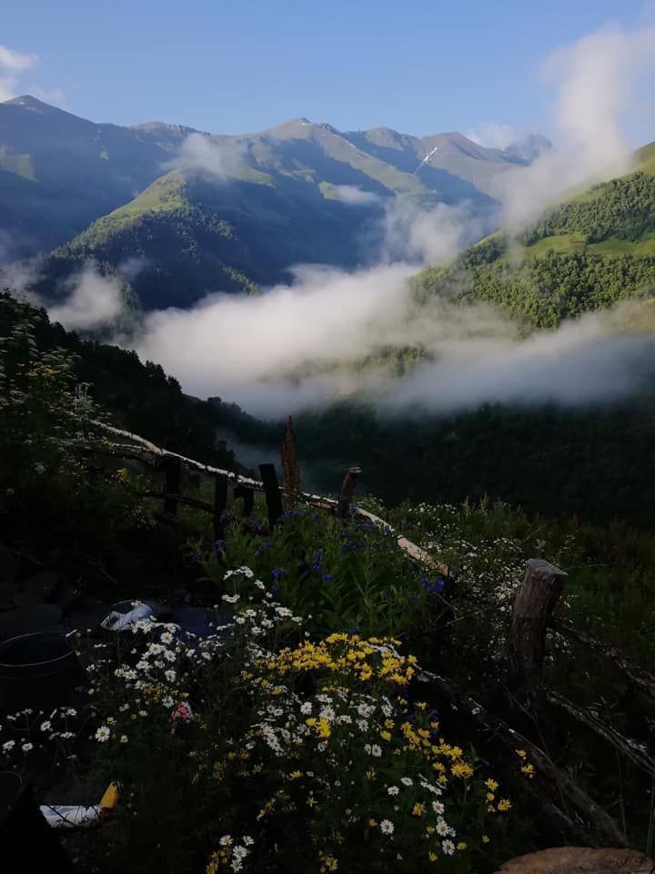 Green Camping Tusheti
