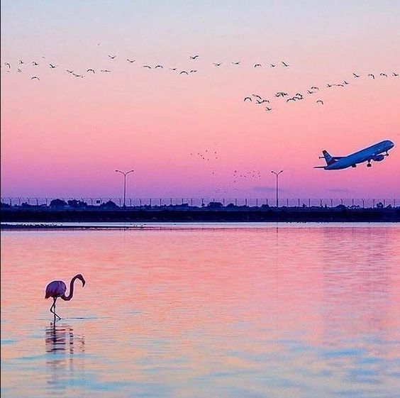 ლარნაკა / კვიპროსი