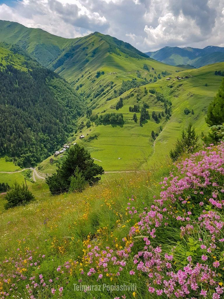 აგვისტოს და ყოველ პარასკევს დღიანი ტური თუშეთში. ტელ: / /