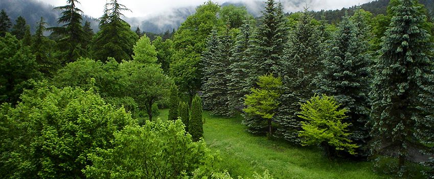 Самцхе-Джавахети (Вардзия, Зеленый монастырь, замок Xертвиси, Рабат, Боржоми)