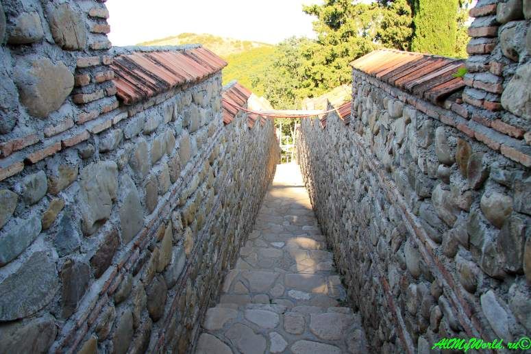 ერთდღიანი ღვინის ტური სიღნაღში, ბოდბის დედათა მონასტერი და სამკურნალო წყარო . . .