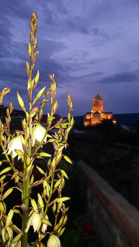An amazing evening in a Georgian family with a khinkali and khachapuri workshop