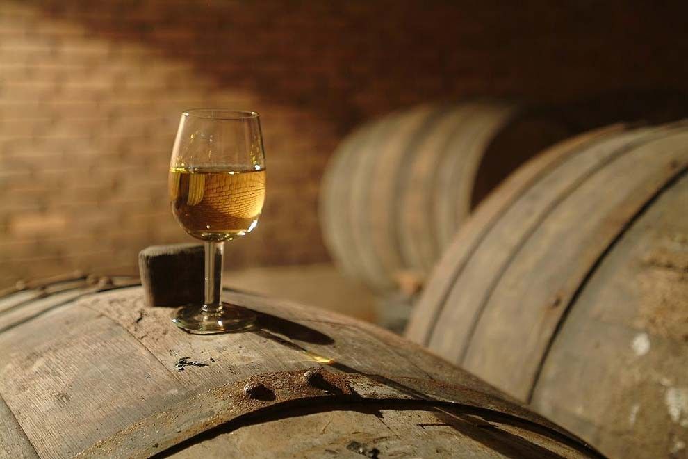 Экскурсия в Кахетию