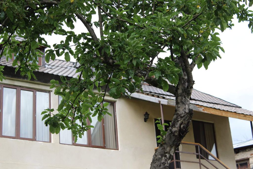 სვანეთის დღიანი ტური - ₾