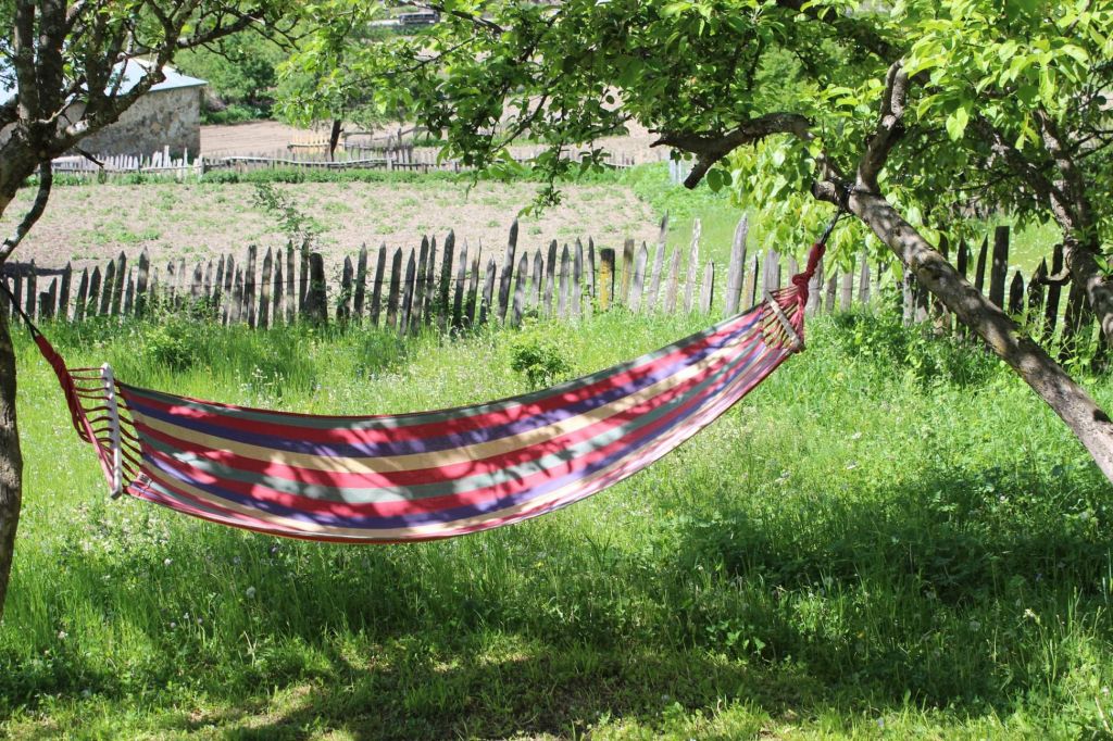 სვანეთის დღიანი ტური - ₾