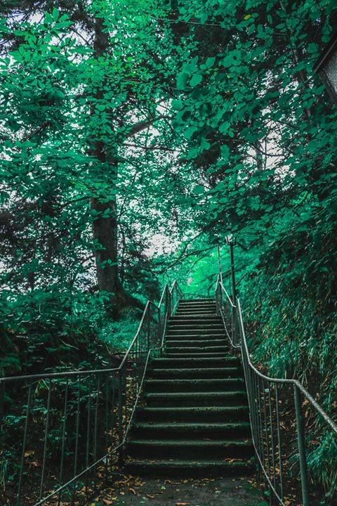 ნუნისი, ზვარე, უბისა, სურამი