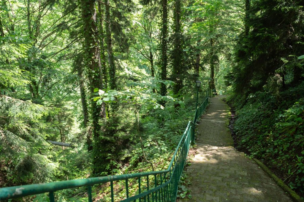 ნუნისი, ზვარე, უბისა, სურამი