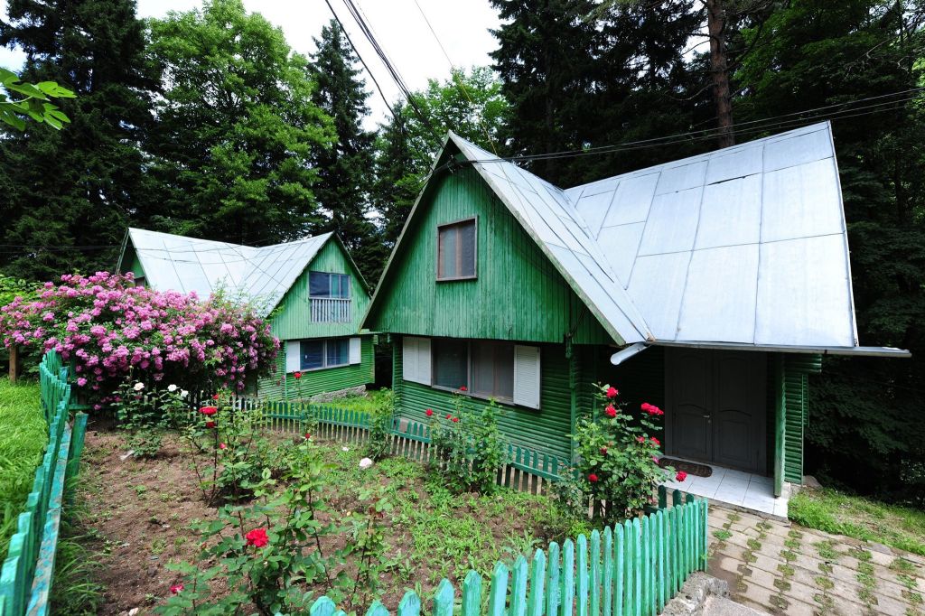 ნუნისი, ზვარე, უბისა, სურამი