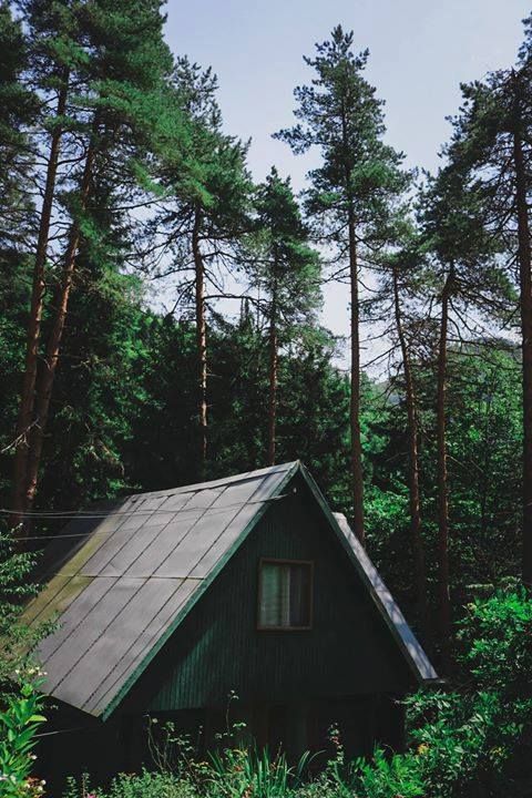 ნუნისი, ზვარე, უბისა, სურამი