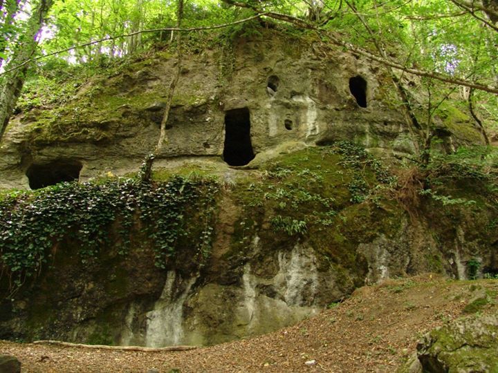 ნუნისი, ზვარე, უბისა, სურამი