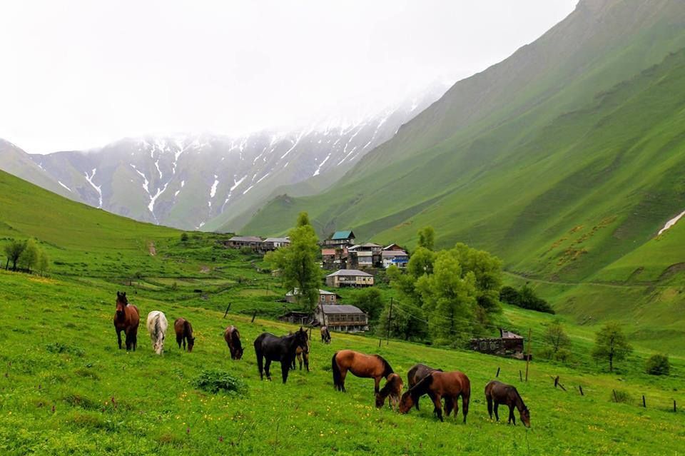 სექტემბერი - ხადას ხეობის ერთდღიანი ტური