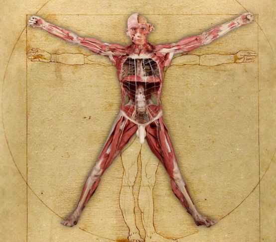 ვენეცია! ლეონარდოს და კანდინსკის გამოფენაზე.