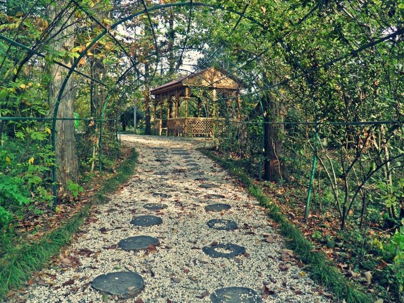 ღვინის ტური კახეთში - Винный тур в Кахети