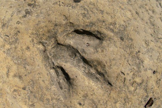 ტური იმერეთში: ბაგრატის ტაძარი, გელათი, პრომეთეს მღვიმე, სათაფლია, მოწამეთა მონასტერი . . .