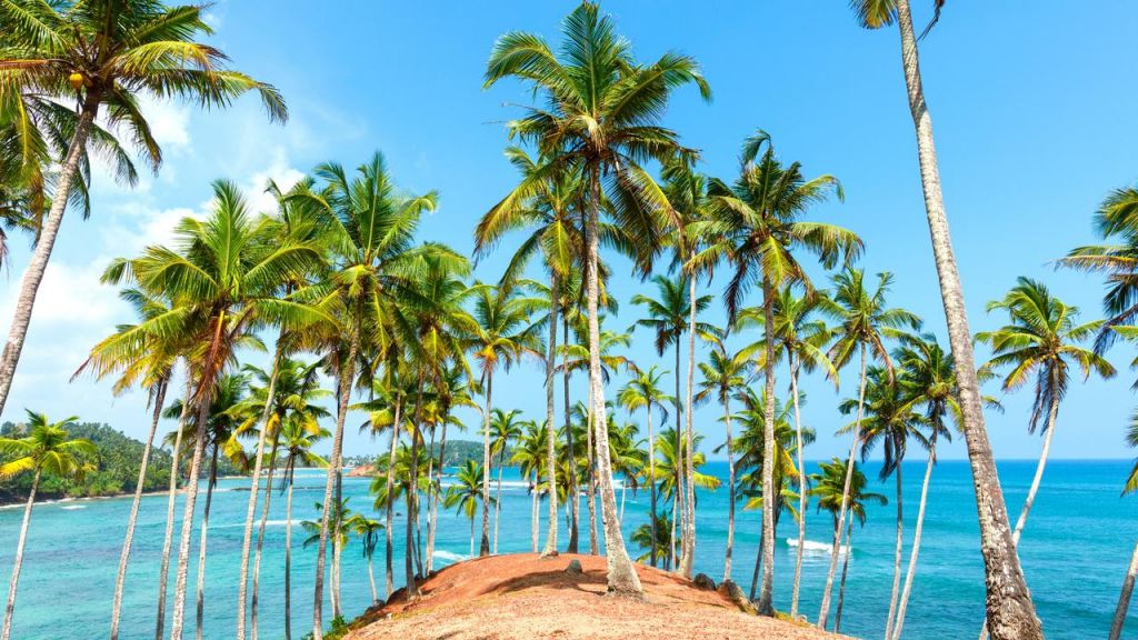 შრი ლანკა