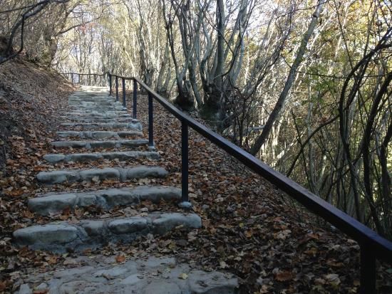 ერთდღიანი ღვინის ტური ლეგენდარულ სიღნაღში : წინაპართა თავშესაფარი, ბოდბის დედათა მონასტერი, სამკურნალო წყარო, მსოფლიო ბრენდი " ჭაჭა " და ქიზიყის სავიზიტო ბარათი ხაშლამა . . .