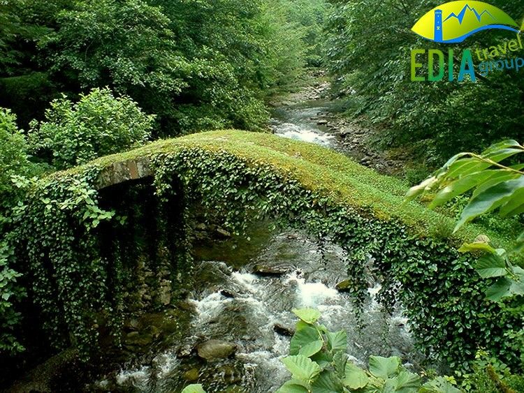 დაიწყე შემოდგომა სანახაობრივი ტურით ,, სექტემბერი.