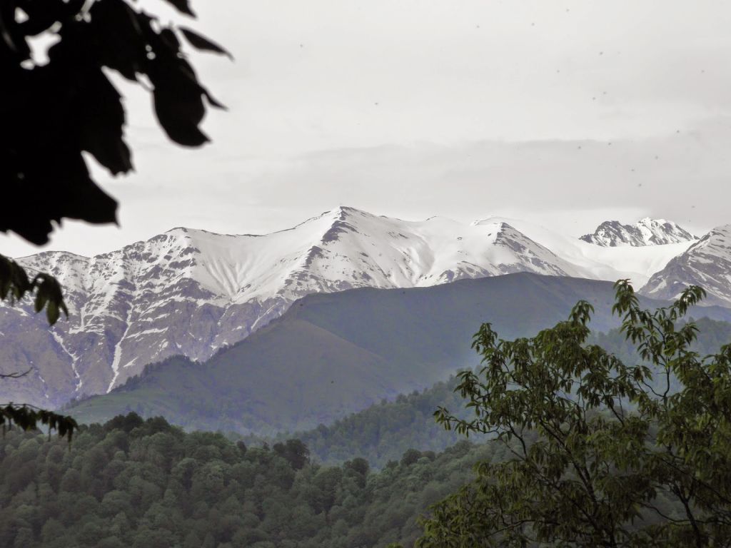 პანკისის ხეობა