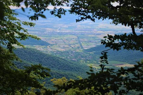 პანკისის ხეობა