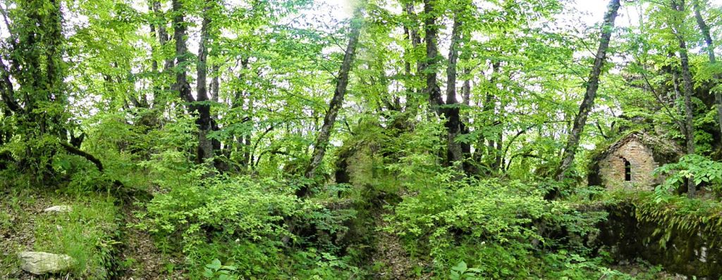 პანკისის ხეობა