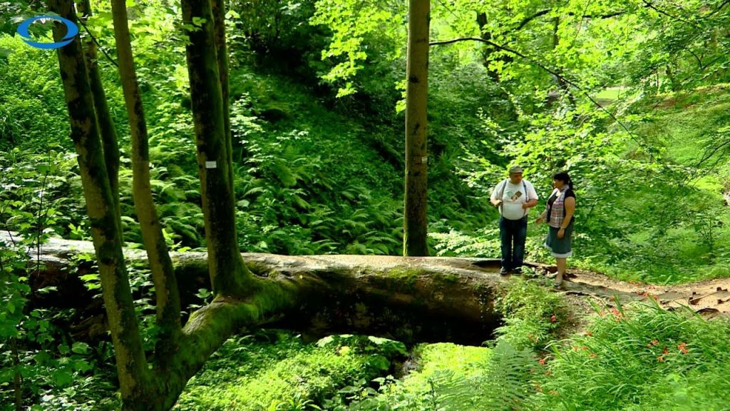 Тбилиси-Мцхета-Тбилиси