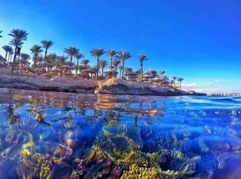 შარმ ელ შეიხი